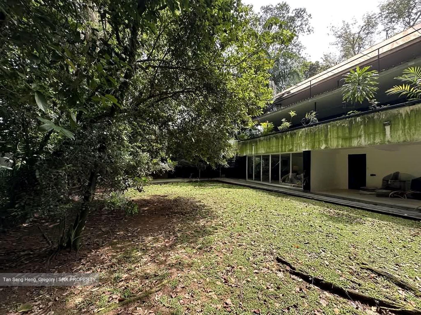 White House Park (D10), Detached #534249111